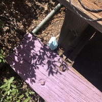 This is a picture of a face mask that has been discarded by a wooden bench outdoors. 