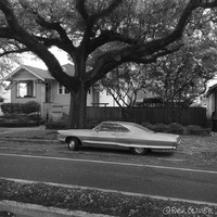 A car is parked on the side of the road underneath a tree. 