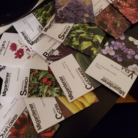 Scattered pile of seed packets.