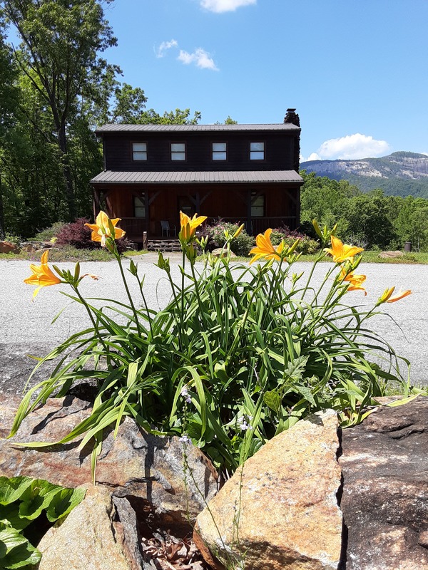 Yellow flowers outside of a closed real estate agency building.