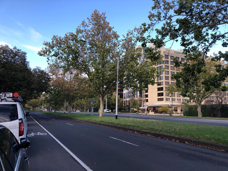 A road with trees and cars next to it.